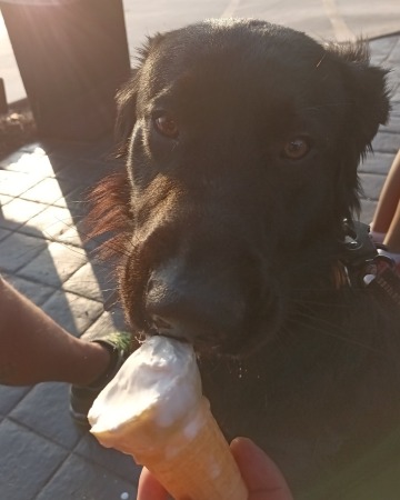 Birthday Ice Cream